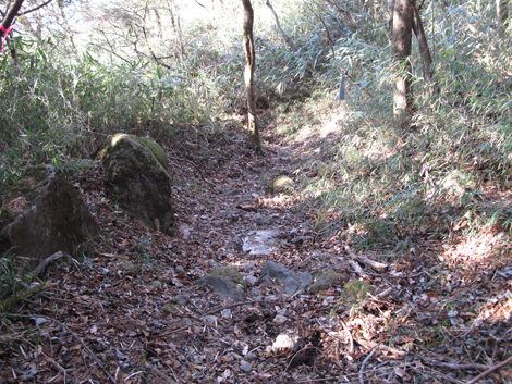 20180116hike (277)